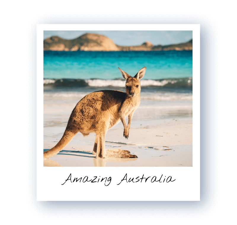Card Australia